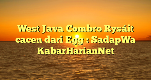 West Java Combro Rysáit cacen dari Egg : SadapWa KabarHarianNet