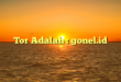 Tor Adalah : gonel.id