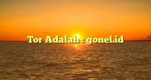 Tor Adalah : gonel.id