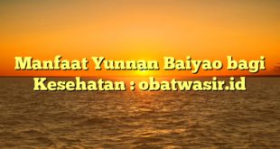 Manfaat Yunnan Baiyao bagi Kesehatan : obatwasir.id